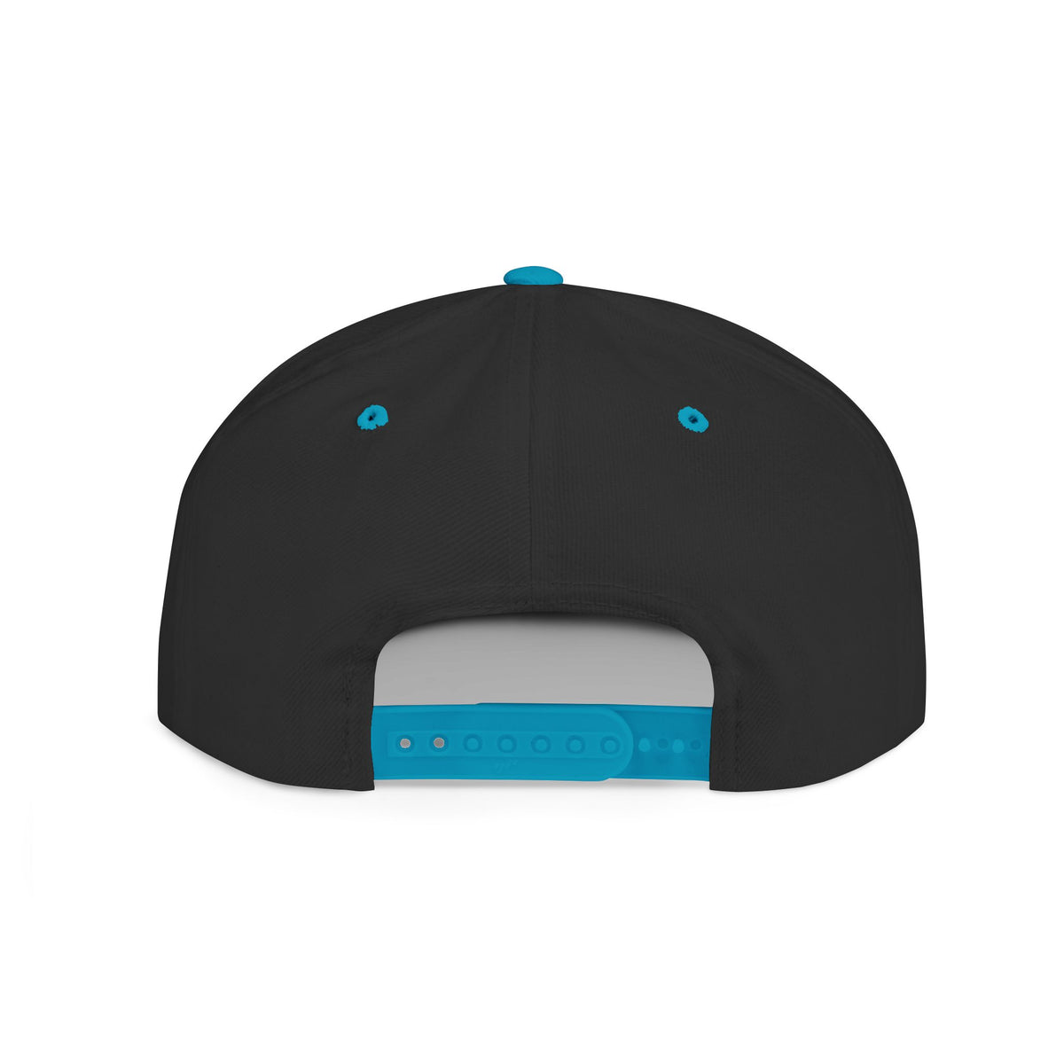Fly Pig—Snapback Hat