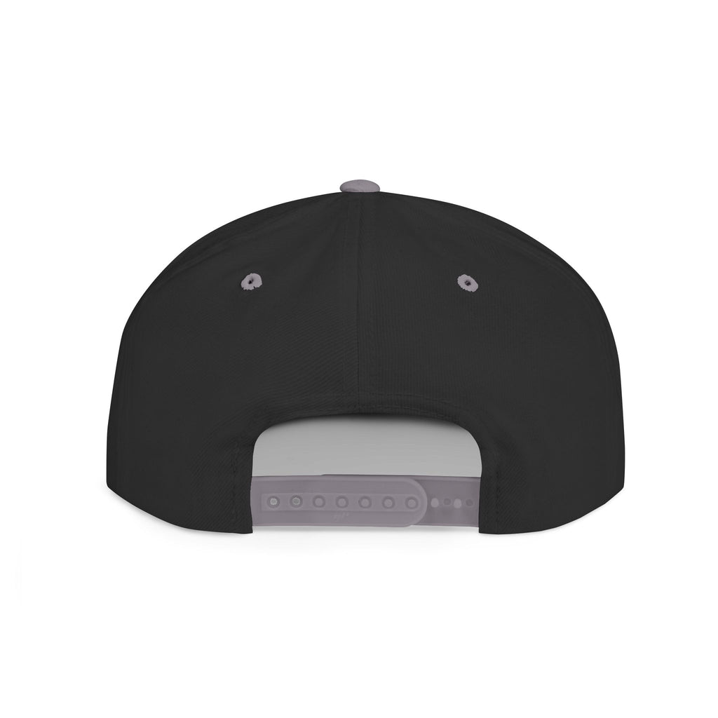 Fly Pig—Snapback Hat